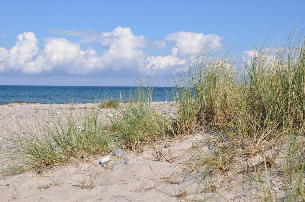 Burgtiefe Suedstrand "Duenennest" Fehmarn Luaran gambar